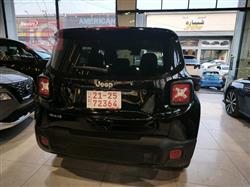 جيب رينيجيد